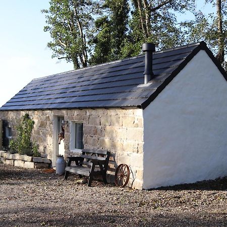 Villa Cosy Couples Retreat At The Coop With Hot Tub à Kilkeel Extérieur photo